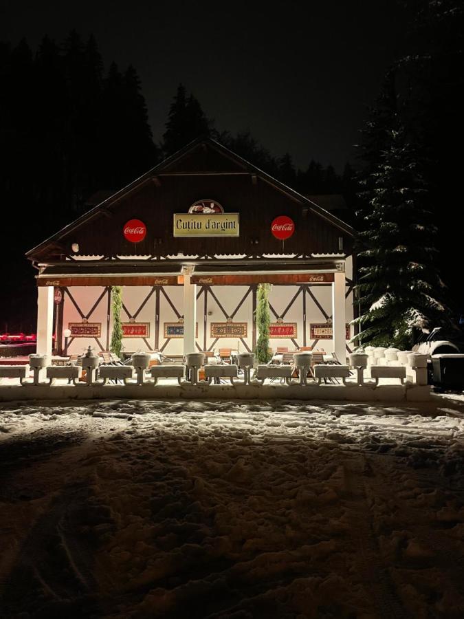 Vila De Argint Hotel Sinaia Exterior photo