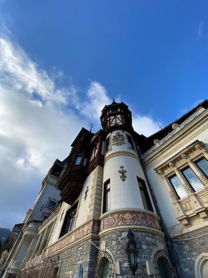 Vila De Argint Hotel Sinaia Exterior photo