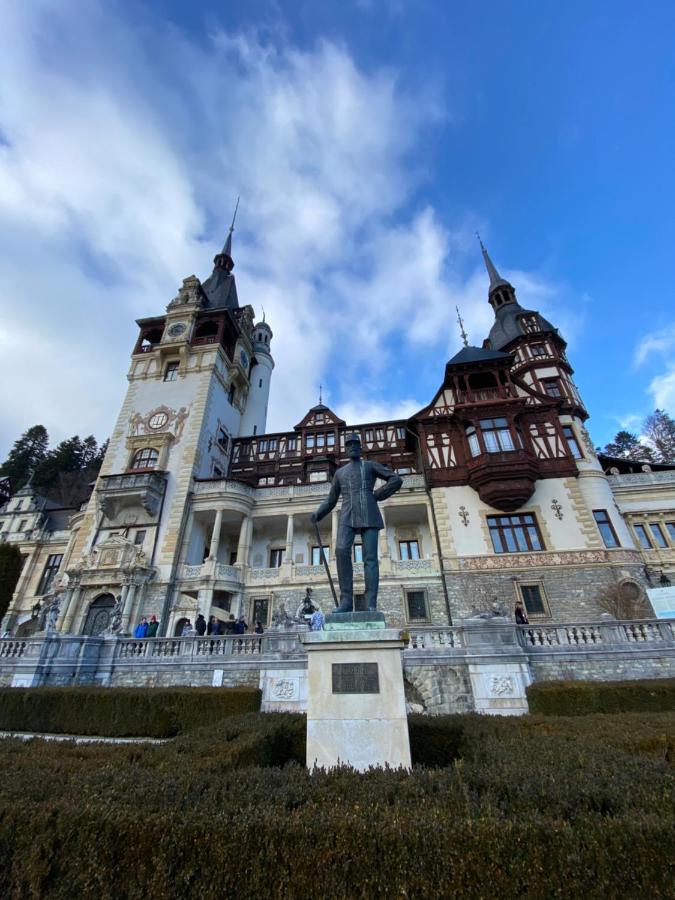 Vila De Argint Hotel Sinaia Exterior photo