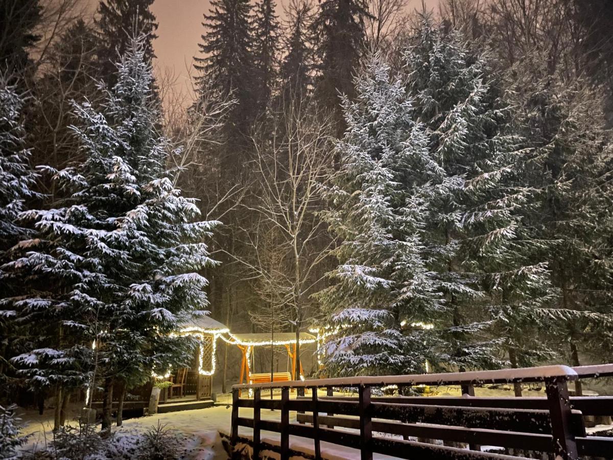 Vila De Argint Hotel Sinaia Exterior photo