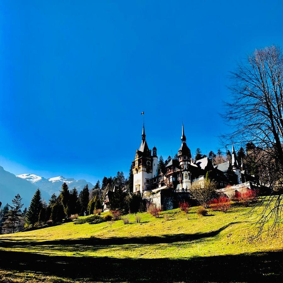 Vila De Argint Hotel Sinaia Exterior photo